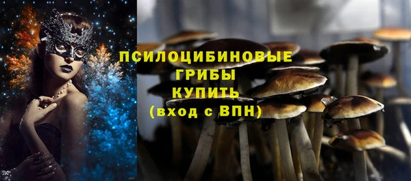 трава Арсеньев