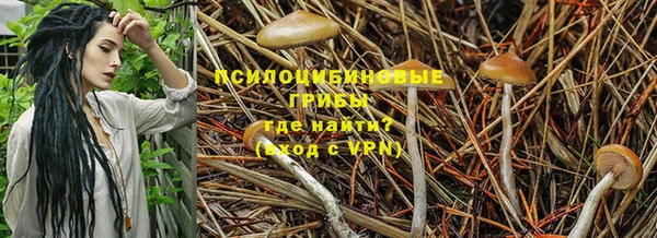 трава Арсеньев