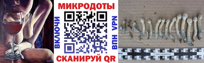 Псилоцибиновые грибы Psilocybe  Купить  Магас 